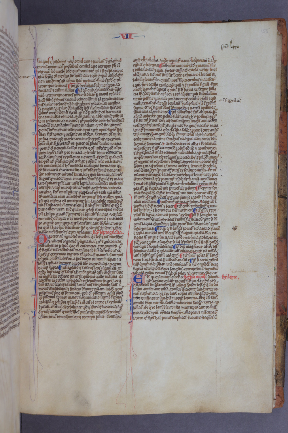 Folio 155 recto